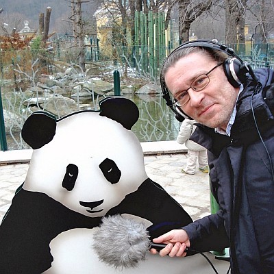 Pandák Bécsben
