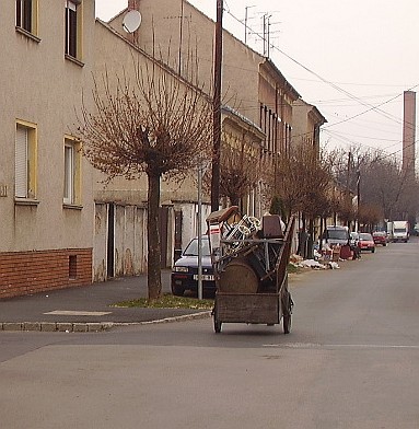 lomtalanítás