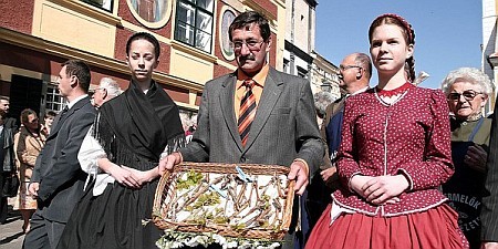 Szőlő Jövésnek Könyve, Kőszeg 2008