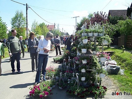  Herényi Virágút