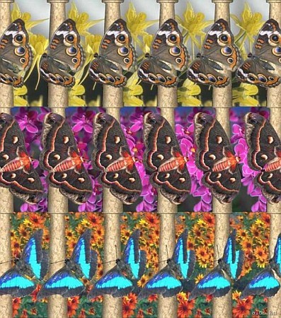 3d-s kép