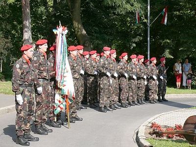 2008. augusztus 20. Szombathelyen