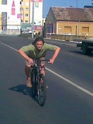 Karneválblog 2008