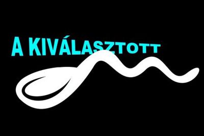 Hargitai Katalin - Kanál