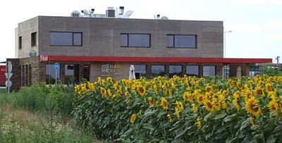 Mad Mexican Grill & Bar, Vép