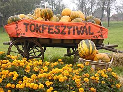 tökfesztivál