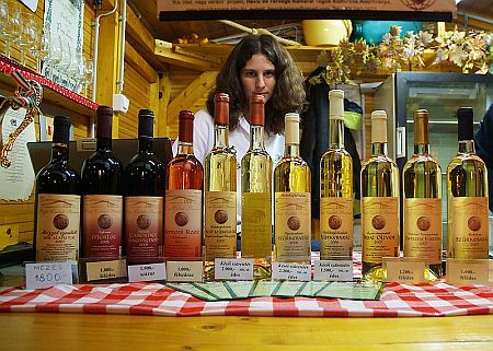 Vasi Bacchus 2008