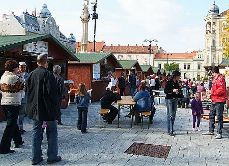 Vasi Bacchus 2008