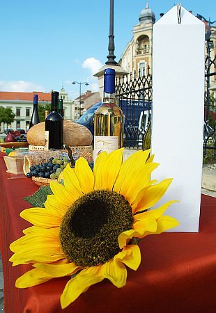Vasi Bacchus 2008