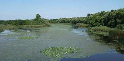 Kisbalaton