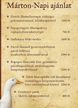 Café Móló