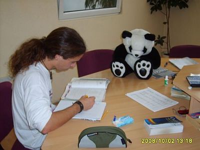 Panda Nyelvstúdió
