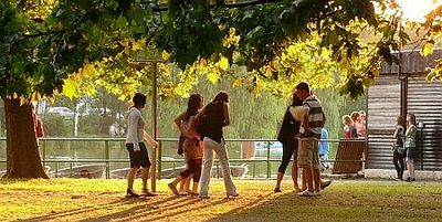 Ha minden igaz, megújuk a Csónakázó-tó szigete Csónakázó tó