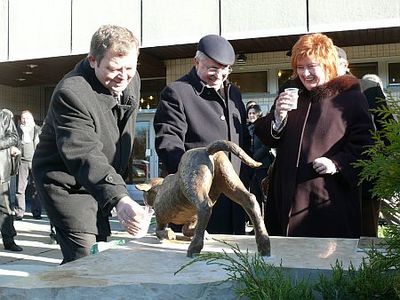Szombathelyi gyógyvíz, gyógykút
