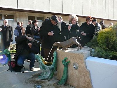 Szombathelyi gyógyvíz, gyógykút
