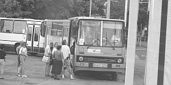 Busz