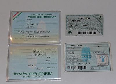 Igazolványaim