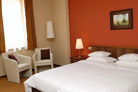 Hotel Bassiana, S&aacute;rv&aacute;r