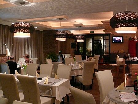 Hotel Bassiana, S&aacute;rv&aacute;r