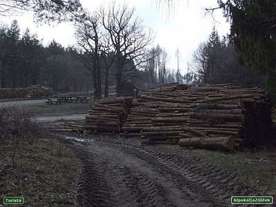 Erdőirtás Kőszegen