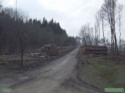 Erdőirtás Kőszegen