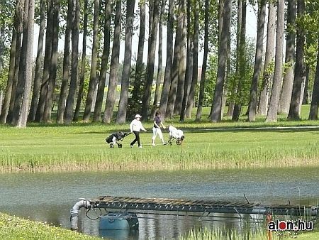 Birdland golfp&aacute;lya, B&uuml;k