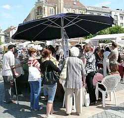  Civil nap Szombathelyen