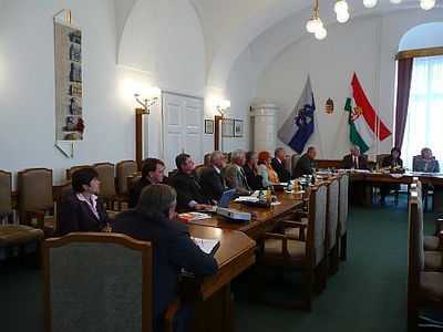 Idősügyi tanács