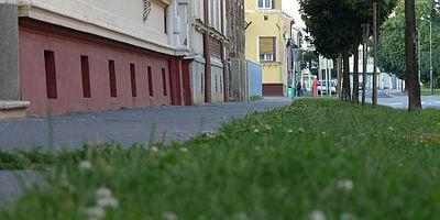 Leginkább a lakótelepek vannak aláaknázva, de a belváros sem kivétel Évi 200 tonna kutyaszar Szombathelyen