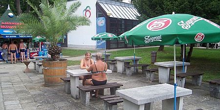Hark&aacute;nyf&uuml;rdő