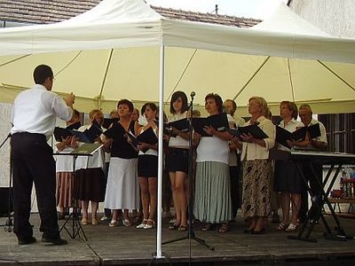 Falunap Váton 2009