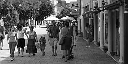 Közterület-felügyelet