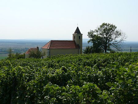  Somló hegy