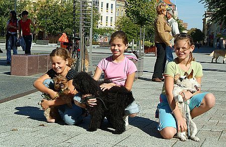Szombathelyi zarándokút az állatok világnapján