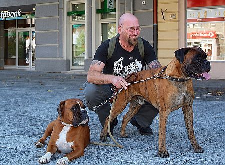 Szombathelyi zarándokút az állatok világnapján