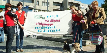 Szombathelyi zarándokút az állatok világnapján