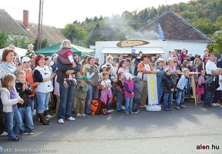Gesztenyeünnep 2009