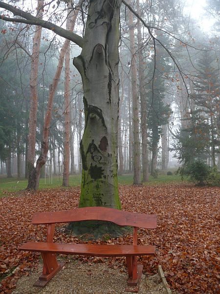 A Kámoni Arborétum