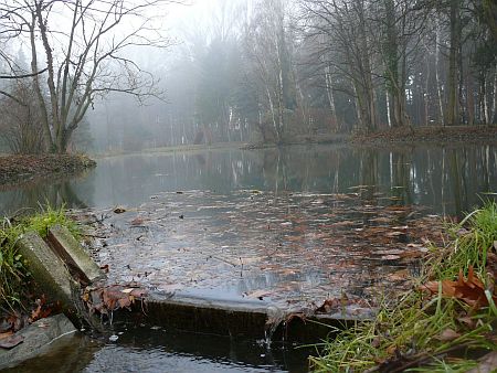 A Kámoni Arborétum