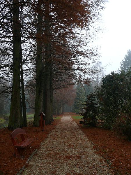 A Kámoni Arborétum