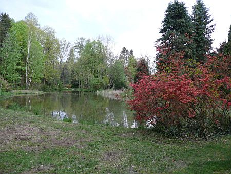Kámoni Arborétum