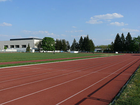 Aréna Sportpálya