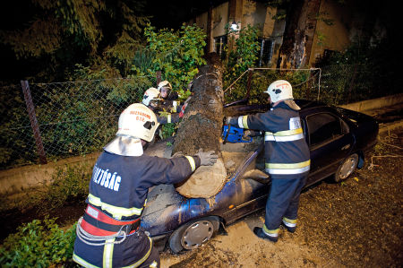 Aut&oacute;ra dőlt Fa Budapesten