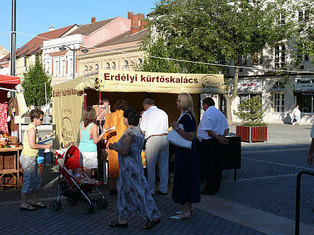 Bart&oacute;k Fesztiv&aacute;l Szombathely 2010