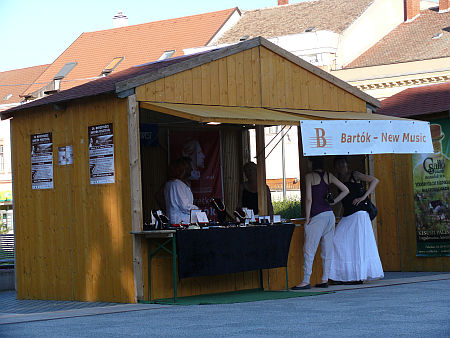 Bart&oacute;k Fesztiv&aacute;l Szombathely 2010
