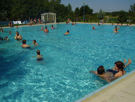 Borg&aacute;ta, f&uuml;rdő