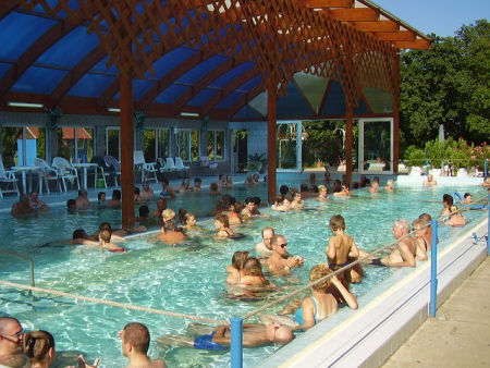Borg&aacute;ta, f&uuml;rdő