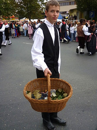 Celldömölk, szüret
