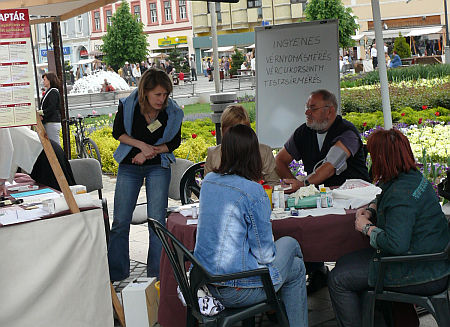 Civil nap Szombathelyen 2010 