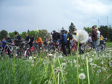 Critical Mass, Szombathely
